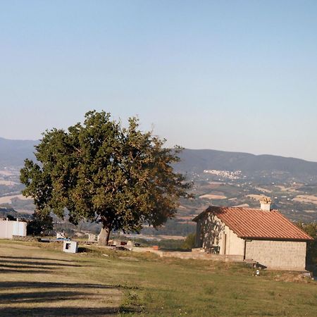 Agriturismo Le Querce Bomarzo Exteriér fotografie