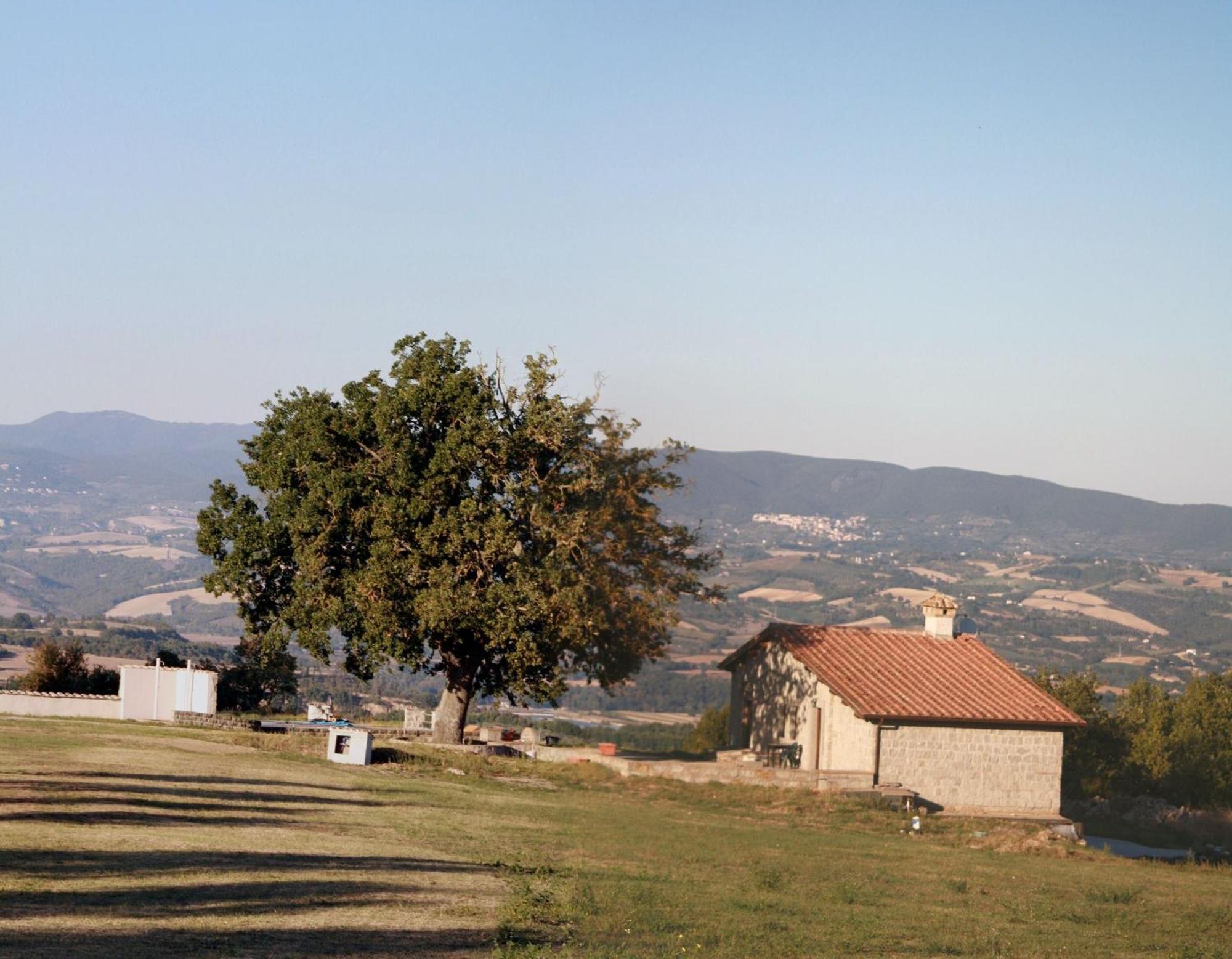 Agriturismo Le Querce Bomarzo Exteriér fotografie